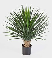 Artplants KüNstliche Yucca Rostrata, 176 BläTter, Deluxe, 80Cm