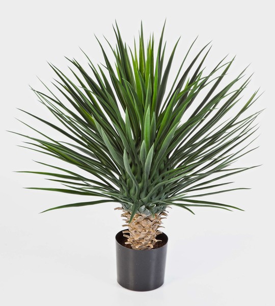 Artplants KüNstliche Yucca Rostrata, 176 BläTter, Deluxe, 80Cm-image
