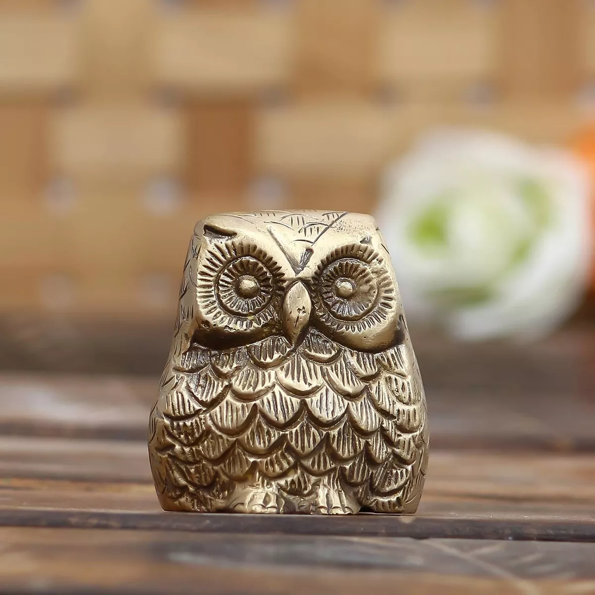 Owl bird for sale sales