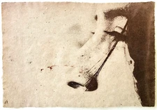 Vintage Signed Art Female Face Litho Profile Silhouette Hair Lash Freckles Taupe