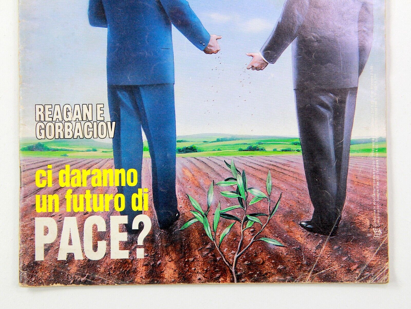 Imagen 5 de 24
