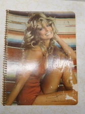 Vintage Farrah Fawcett Notebook 1977 Pro Arts with COLOR AD ~ Super Themes