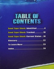 The Sand Tiger Shark (Shark Fact Files) by Borgert-Spaniol, Megan, Acceptable Bo