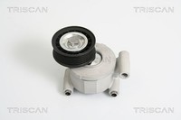 Triscan Riemenspanner, Keilrippenriemen U.A. FüR Ford, Volvo