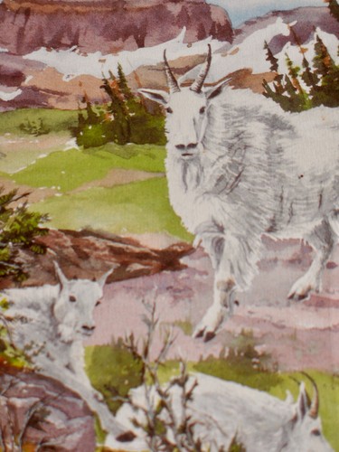 Glacier Park ROCKY MOUNTAIN GOATS Limited Edition BARBARA MELLBLOM signiert ~ SELTEN - Bild 2 von 6