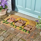Non Slip Door Mat Heavy Duty Natural Coir Owls Birds Indoor Outdoor Welcome Rug