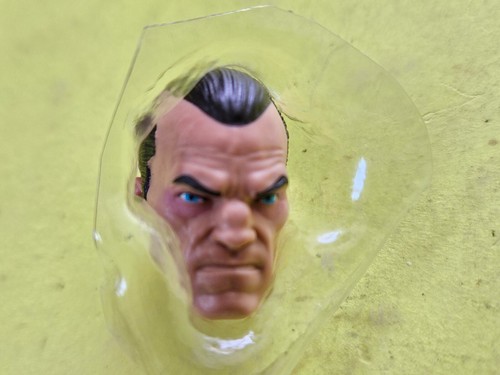 Marvel Legends Punisher HEAD from riders motorrad set 6" inch Figur Neu