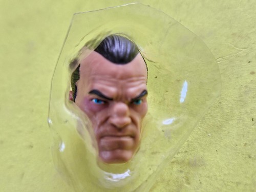 Figurine Marvel Legends Punisher HEAD from riders 6 pouces neuve - Photo 1/2