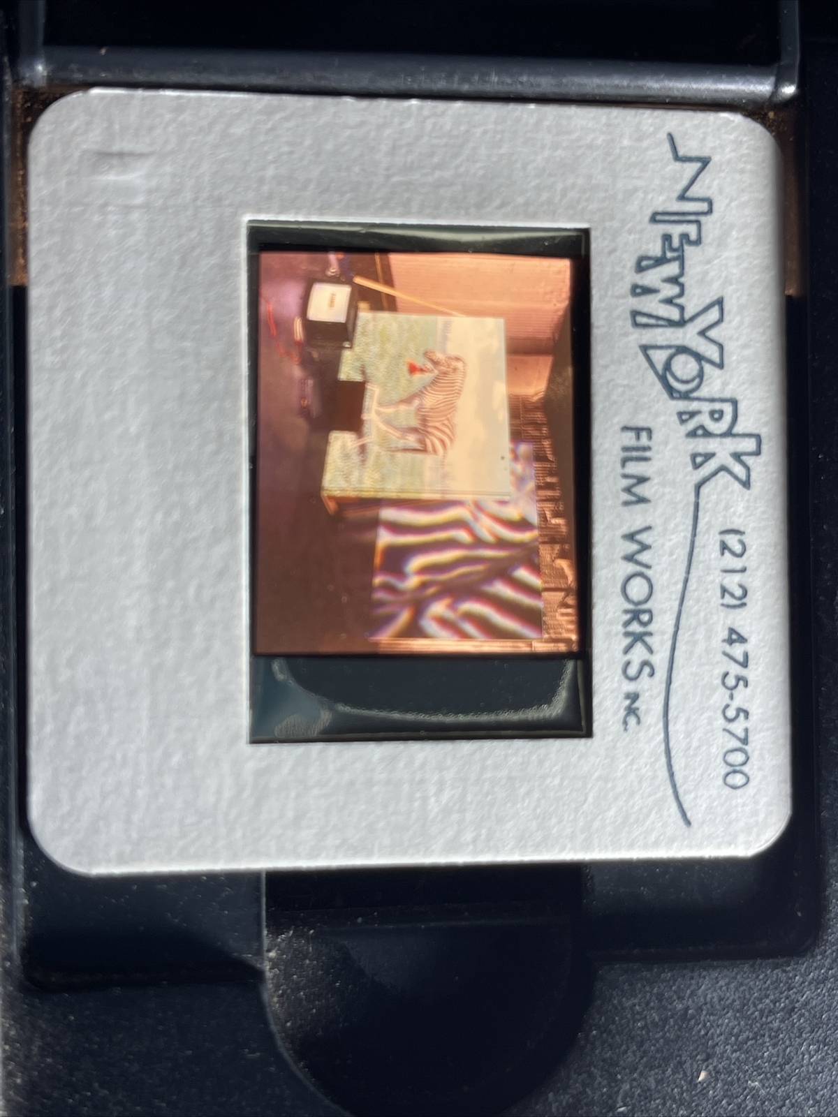 Picture 4 of 4