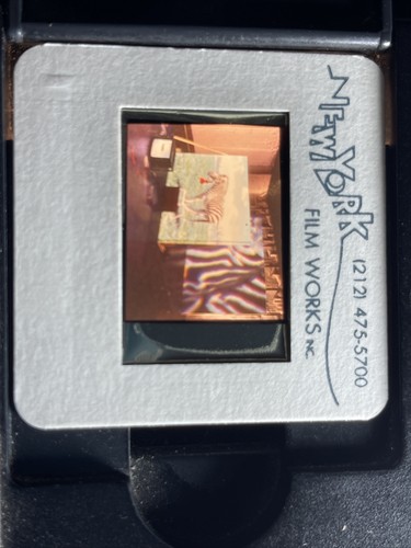 Diana Thater “Best Animals” Installation Video Art 35mm Slide - Picture 4 of 4