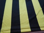 Bild 10 von 12
