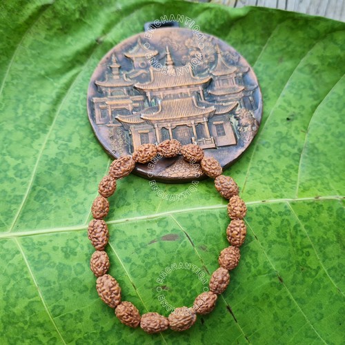 Authentisches 3 Mukhi Rudraksha Armband | Spirituelle Heilung | Energetisierende Perlen - Bild 2 von 11