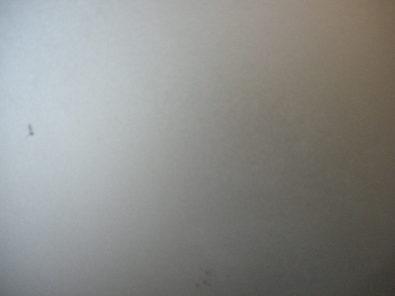 Picture 13 of 13