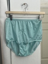 Vintage Pink Petals Panties Sz 8 Blue Floral Embroidery Deadstock New Gusset