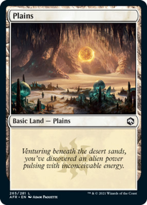 Plains (265)~265/281~NM~(AFR) - Adventures in the Forgotten Realms