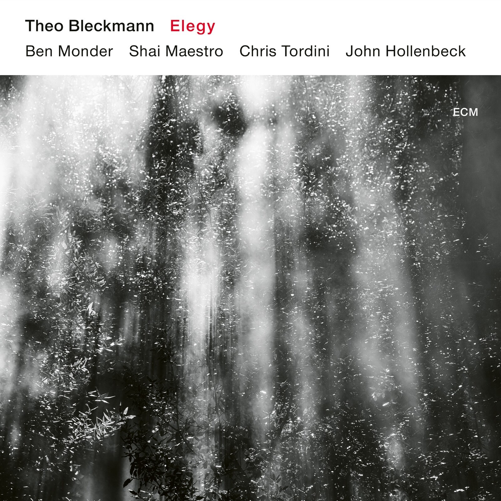 Theo Bleckmann Elegy CD 4799717 NEW