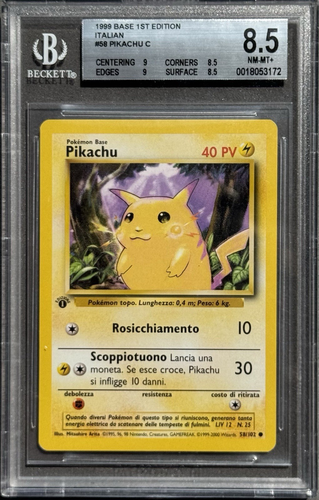 Foto 1 di 2
