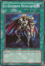 Yu-Gi-Oh: The Reincarnated Warrior | 5DS2-FR025 | Commune | NM | FR