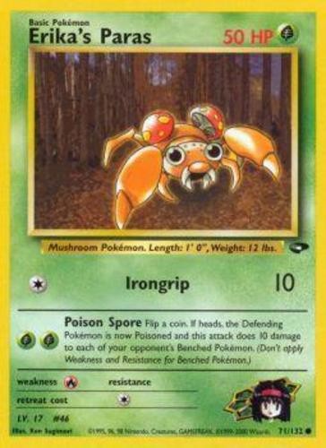 Erika's Paras