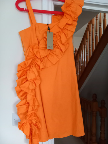 Coast Camille Ruffle Cotton SIZE 10 dress - Picture 1 of 9