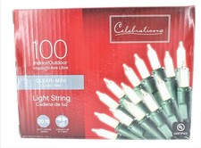 Celebrations 4000-71 Mini Light Set, 22.5', 100 Clear Lights
