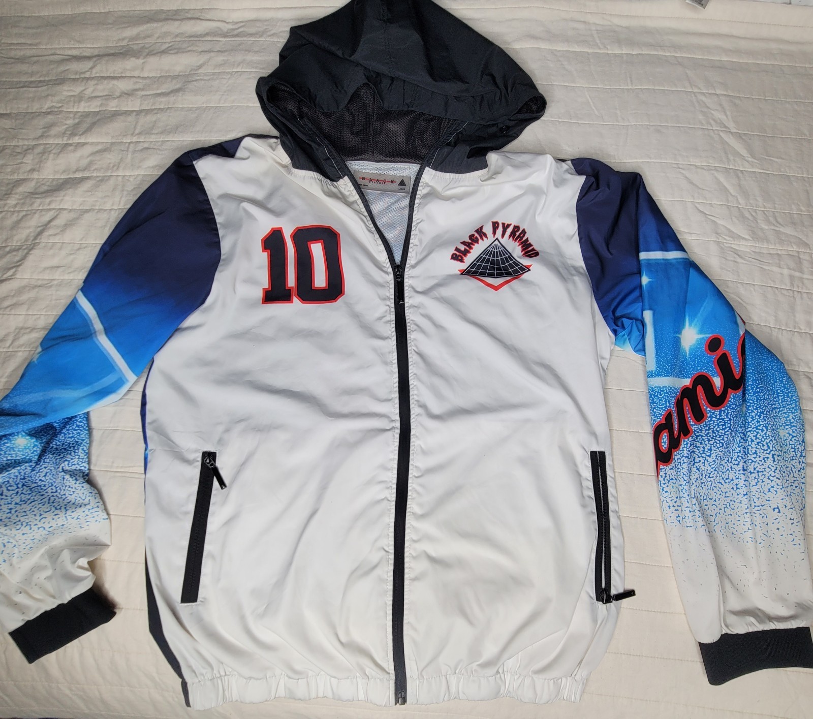 Picture 1 of 10