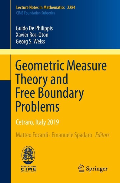 Geometric Measure Theory And Free Boundary Problems Guido De Philippis-image