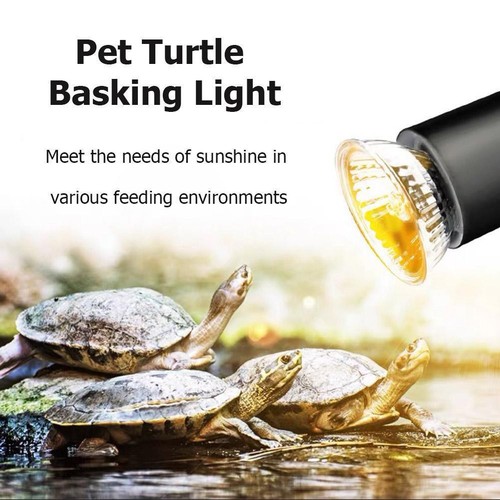 uva uvb turtle light
