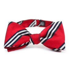 Vintage Red/Navy/White Diagonal Stripe Repp Silk Butterfly Self-Tie Bow Tie