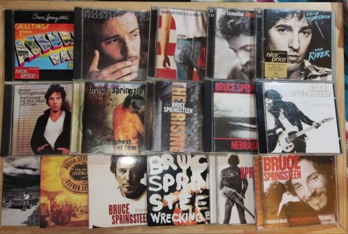 Bruce Springsteen Born To Run Biography Book + 17 CD Albums from 1975 to 2012 . - Zdjęcie 1 z 23