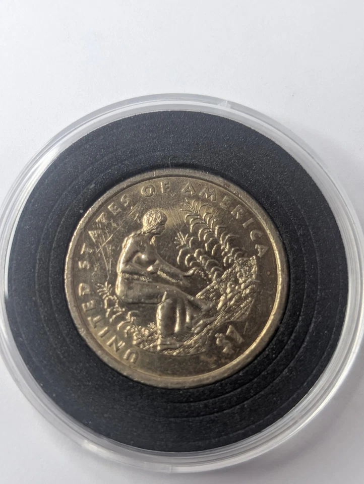 Dólar P Sacagawea 2009 - Tres hermanas nativas americanas - borde marca de ceca - círculo Foto 4 de 4