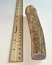 (1) LARGE Grade A Premium Organic Whole Elk Antler Dog Chew Treat Craft