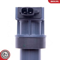 Esen SKV ZüNdspule 03SKV313 FüR Hyundai KIA