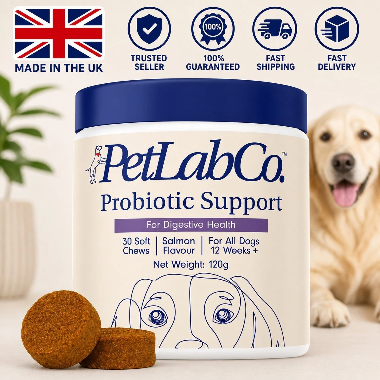 Petlab Co Probiotic Dog Chews Gut Health Support Treats Stop Itchy Skin & Yeast - Picture 1 of 3