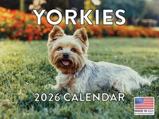 Yorkie Calendar 2026 Yorkshire Terrier Monthly Wall Calender 12 Month 12x18