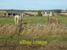 Photo 6x4 Springhill farm Benthoul  c2007