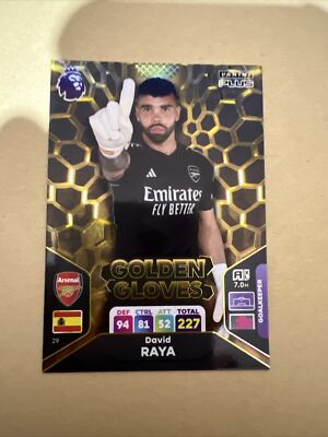 David Raya GOLDEN GLOVES card 29 PLUS New