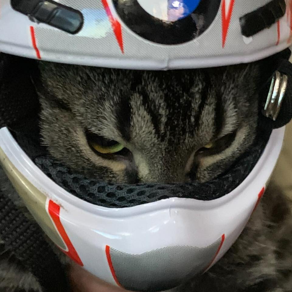 best track motorcycle helmet Motorcycle helmet buying guide from the experts