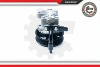 Esen SKV Servopumpe Servo-Pumpe Passend FüR Hyundai H-1/Starex 10SKV201
