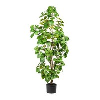 artplants KüNstlicher Baum Eukalyptus Misne, Kunststamm, GrüN, 120Cm