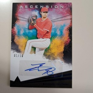 TORA-NEKO JAPAN | eBay Stores