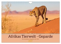 Calendar 2027 · US Version · Africa's Wildlife - Cheetahs (Wall Calendar 2027 12