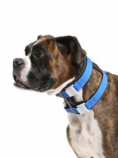 Cesar Millan Pack Leader Collar  - Dog Whisperer Training Collar