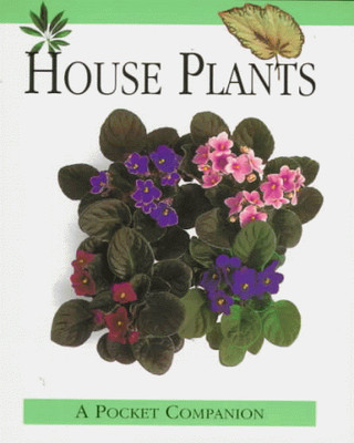 House Plants
