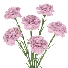 Purple Carnations Artificial Flowers,6PCS Real Touch Faux Flowers 20'' Artifi...