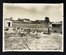 1953 Philadelphia Racially Integrated Farm School Shallcross Black Student Photo