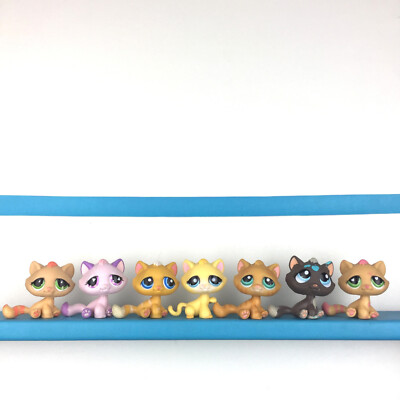 LOT 15 LITTLEST Pet Shop Tabby Cat 576 606 1660 815 552 1913 300