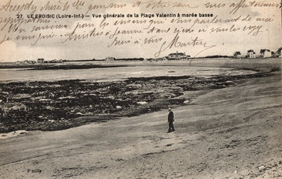CPA LE CROISIC ALLGEMEINE ANSICHT DES STRANDES VALENTINSTAG BEI EBBE