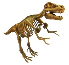 Beverly Mini 3D Dinosaur Puzzle Tyrannosaurus Rex Fossil Model