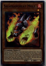 Salamangreat Mole Super Rare OTS Tournament Pack 10 OP10-EN006 LP